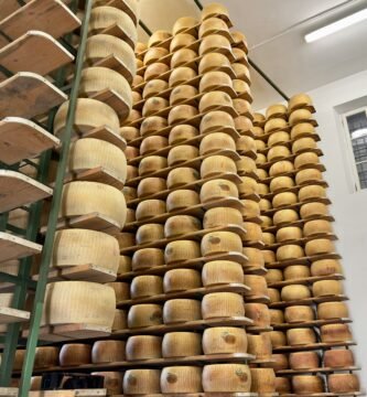 several stacks of cheese stacked on top of each other